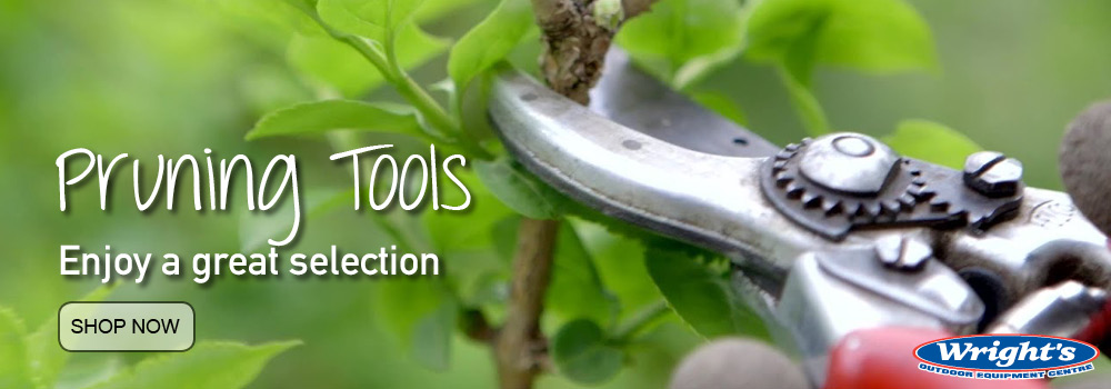 banner-2019-pruning