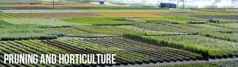 category_top_pruning_horticulture