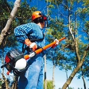 Echo PPT265-ES Telescopic Chainsaw Power Pruner