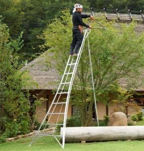 Hasegawa Tripod Ladder - GSC300 10ft - 10 step