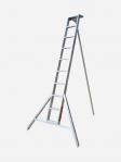 ALLITE_10foot-Ladder