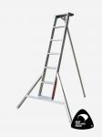 ALLITE_6foot-Ladder